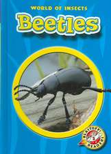 Beetles