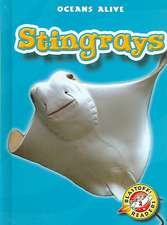 Stingrays