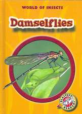 Damselflies