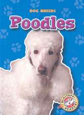 Poodles