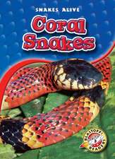 Coral Snakes