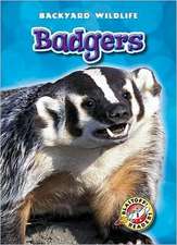 Badgers