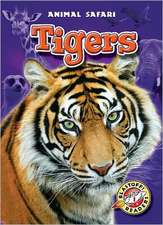 Tigers