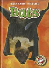 Bats