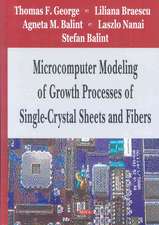 Microcomputer Modeling of Growth Processes of Single-Crystal Sheets and Fibers