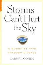 The Storms Can't Hurt the Sky: The Buddhist Path through Divorce