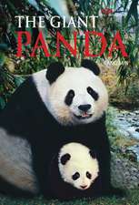Giant Panda