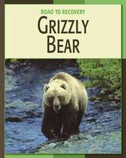 Grizzly Bear