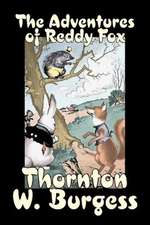 The Adventures of Reddy Fox by Thornton Burgess, Fiction, Animals, Fantasy & Magic