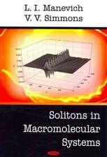 Solitons in Macromolecular Systems