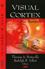 Visual Cortex