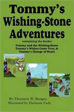 Tommy's Wishing-Stone Adventures--The Wishing Stone, Wishes Come True, Change of Heart: A Book about Art, Independence and Spirit