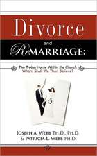 Divorce and Remarriage