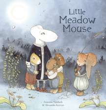 Little Meadow Mouse