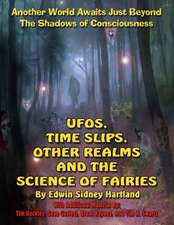 UFOs, Time Slips, Other Realms, and the Science of Fairies: Another World Awaits Just Beyond the Shadows of Consciousness