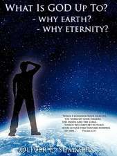 What Is God Up To? - Why Earth?- Why Eternity?