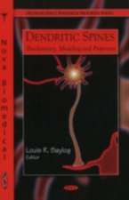 Dendritic Spines