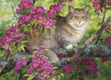 Crab Tree Calico Puzzle