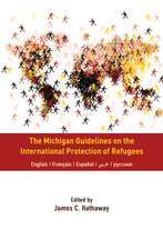 The Michigan Guidelines on the International Protection of Refugees