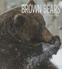 Brown Bears