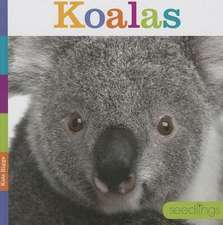 Koalas