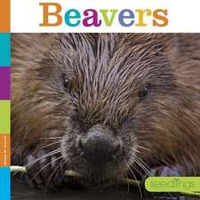 Beavers