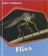 Flies