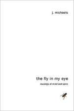 The Fly in My Eye: Musings of Mind and Spirit