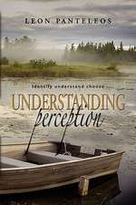 Understanding Perception: Identify, Understand, Choose