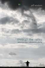 Through the Valley: Biblical-Theological Reflections on Suffering