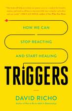 Triggers: How We Can Stop Reacting and Start Healing