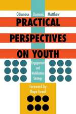 Practical Perspectives on Youth