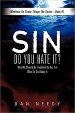 Sin- Do You Hate It?