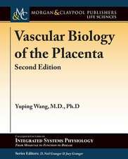 Vascular Biology of the Placenta