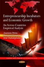 Entrepreneurship Incubators & Economic Growth