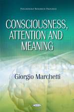 Consciousness, Attention & Meaning