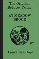 The Bobbsey Twins at Meadow Brook: Of Plymouth Plantation