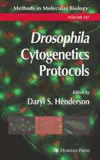 Drosophila Cytogenetics Protocols