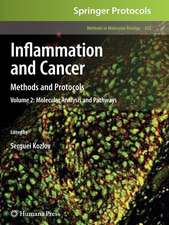 Inflammation and Cancer: Methods and Protocols: Volume 2, Molecular Analysis and Pathways