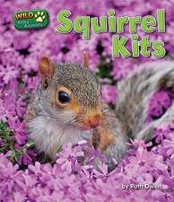 Squirrel Kits