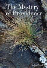 The Mystery of Providence