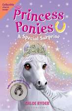 Princess Ponies 7: A Special Surprise