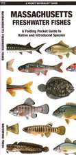 Massachusetts Freshwater Fishes