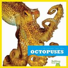 Octopuses