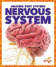 Nervous System