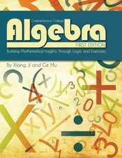 Comprehensive College Algebra: Building Mathematical Insights Through Logic and Exercises