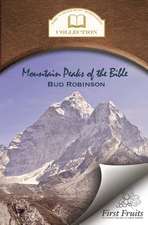 Mountain Peaks of the Bible