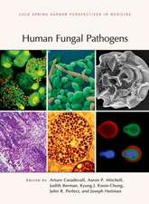 Human Fungal Pathogens: From Organelles to Organisms