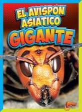 El Avispón Asiático Gigante