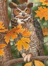 Autumn Owl: 1000pc Jigsaw Puzzle